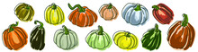 Pumpkins Of Different Shapes And Sizes. 