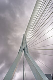 Fototapeta Londyn - 15 September 2021, Rotterdam . South Holland, Netherlands, Fragment of the Erasmus Bridge over the the Nieuwe Maas (New Meuse) River on cloudy day..