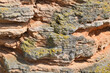 Close Up of Great Rock at Cape Kaliakra Bulgaria
