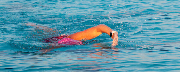 Wall Mural - Female submerged while swimming with just her arm out of the water