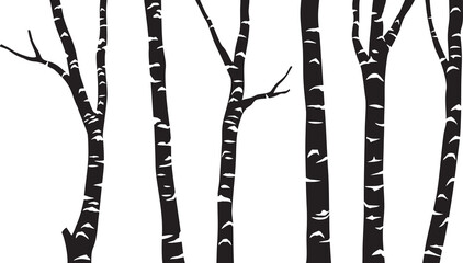 Wall Mural - Birch tree black vector illustration