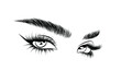illustration of the eye with luxe makeup and natural eyebrow. Hand drawn vector idea for business visit cards, templates, web, salon banners,brochures. Microblading visit card
