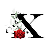 Floral Monogram, Letter X - Decorated With Red Rose And Watercolor Leaves
