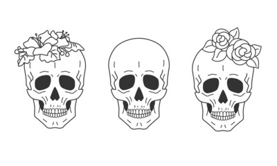 Wall Mural - set of skulls executed in a linear fashion. some of them are decorated with flowers.