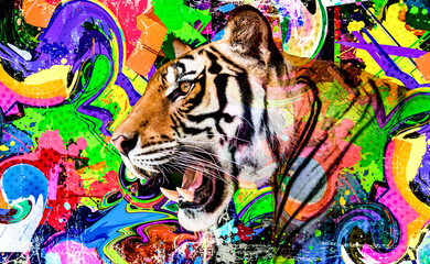 Wall Mural - tiger in the jungle