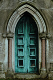 Fototapeta Zwierzęta - stare niebieskie drzwi