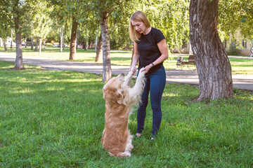 Wall Mural - Young blond woman holding a dog by the front paws.