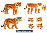Fototapeta Dinusie - Tiger Cartoon Character Set 2d Tiger character for moral story animation and the character best for your animation