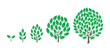 Tree growth stages. Seedling development stage infographic. Animation progression. Tree life process.
