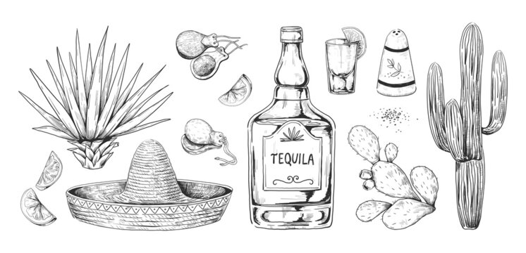 Wall Mural - Tequila sketch. Hand drawn Mexican alcohol beverage made of agave with salt and lemon. Engraving alcoholic drink and cactuses. Sombrero and castanets. Vector drawings set for bar menu