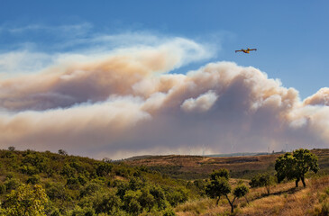 Wall Mural - Fire in Algarve Portugal.