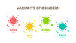Illustrator vector of the COVID-19 virus's new Variants of Concern (VOC). A “variant” is mutated version of the original virus. Colorful infographic of the variations : Alpha, Beta, Gamma and Delta.
