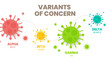 Illustrator vector of the COVID-19 virus's new Variants of Concern (VOC). A “variant” is mutated version of the original virus. Colorful infographic of the variations : Alpha, Beta, Gamma and Delta.