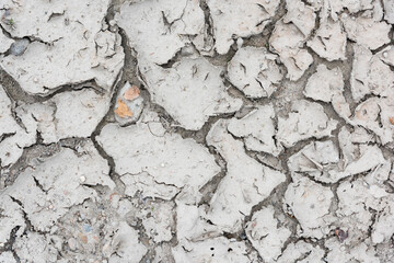 the parched ground with two brown leaves