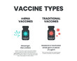 Vaccine Types Infographic. Different components of mRNA vaccines and Traditional vaccines. Traditional Vaccines contain weaken, inactivated whole germ. mRNA contain Spike protein. Illustrator vector.