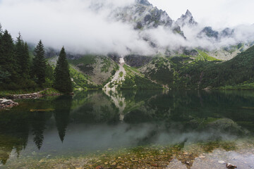 Wall Mural - foggy, summer forest and lakes in the high tatras mountains