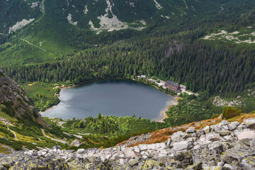 Wall Mural - foggy, summer forest and lakes in the high tatras mountains