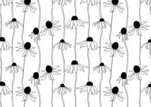 Seamless Pattern With Poppies