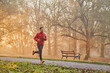 © baranq - Man jogging in the park on sunny autumn morning