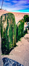 Row Of Rocks At A Shore Covered With Green Algae On A Sunny Day
