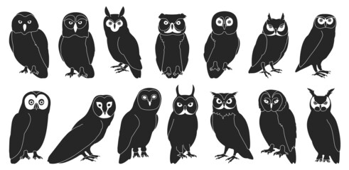 Owl bird black vector set illustration of icon. .Vector set icon of animal owl. Isolated black collection illustration of bird on white background.