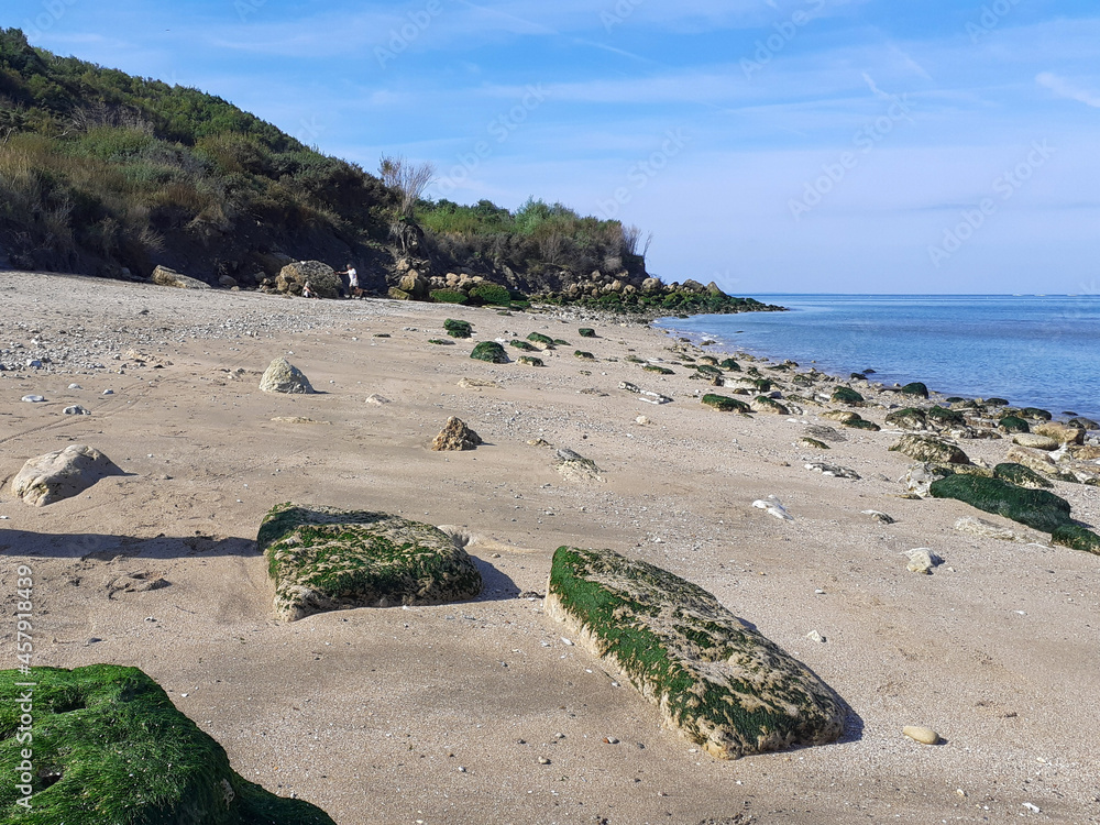 des cailloux et rochers sur la plage à trouville sur mer en normandie