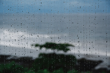 Closeup shot of raindrops on the window net surface