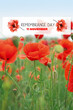 Red poppy flowers in field. Remembrance Day in Canada