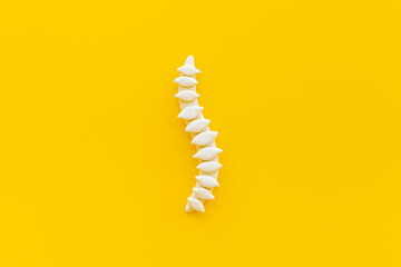 healthy human spinal column skeleton model. top view