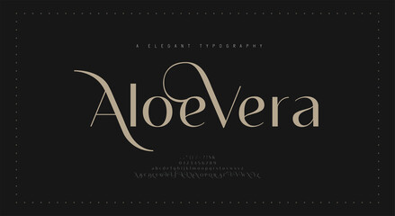 elegant alphabet letters font and number. classic lettering minimal fashion designs. typography mode