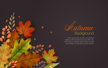 Autum Leaves Background In Brown With Colorful Group Of Falling Leaves In Lower Left And Copyspace Of Text Area.
