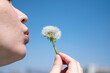 A young pregnant Asian woman blowing dandelion seeds near riverside on a sunny day