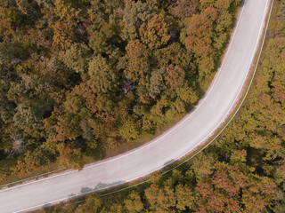 Wall Mural - Aerial view car on road forest tree environment forest nature background, Texture of yellow orange tree and dead tree top view forest from above landscape bird eye view pine forest Autumn Orange Rush