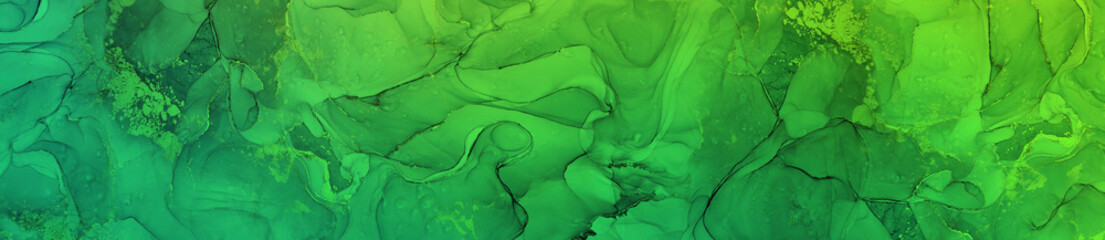 Green Texture Banner Background Wide Panorama