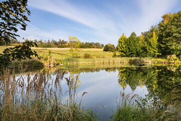 Wall Mural - Pond and trees in autumn landscape under blue sky