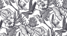 Beautiful Seamless Pattern With Tropical Flowers, Hummingbird, Jungle Palm, Monstera, Exotic Leaves.