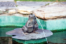 Frog Fountain - Statue Of A Frog On A Lily Pad With Water Spouting From Its Mouth