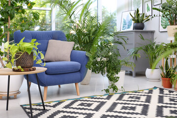 Canvas Print - Comfortable armchair and beautiful houseplants in room. Lounge area interior