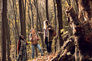 Wall Mural - Three female friends having fun and enjoying hiking in forest.