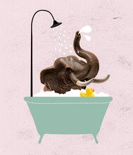 Cute Gray Toy Elephant Bathing In Bath Tub With Soap Foam. Modern Design, Contemporary Art Collage. Inspiration, Idea, Trendy Urban Magazine Style.