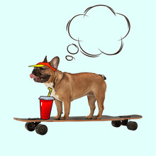 Contemporary Artwork, Conceptual Collage. Cute Funny Dog, French Bulldog Standing On Longboard Isolated On Light Background.