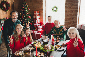 Poster - Portrait of nice elderly pensioner retired people brother sister having fun eve noel showing v-sign at home house indoors