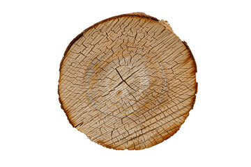 Wall Mural - birch log cut isolated on white background