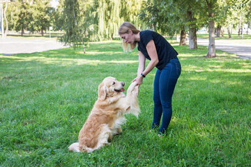 Wall Mural - Woman holding retriever dog by the front paws