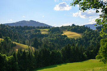 Poster - Scenic shot of a mountainous grass field surrounded by tall trees with a blue cloudy sky above