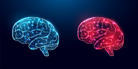 Human brain. Wireframe low poly style. Concept for medical, brain cancer, neural network. Abstract modern 3d vector illustration on dark blue background.
