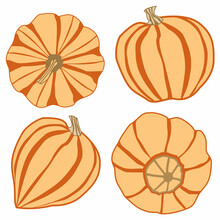 Vector Set With Four Images Of Pumpkins From Different Angles In Orange And Yellow