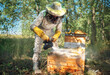 © Аrtranq - Treatment of hives with smoke with medicine. Prevention and treatment of bee diseases.