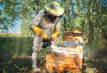 Treatment Of Hives With Smoke With Medicine. Prevention And Treatment Of Bee Diseases.