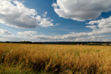 Fototapeta Tęcza - krajobraz, widok na pole pod niebieskim niebe,
